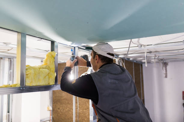 Professional Insulation Contractor in St Charles, MO