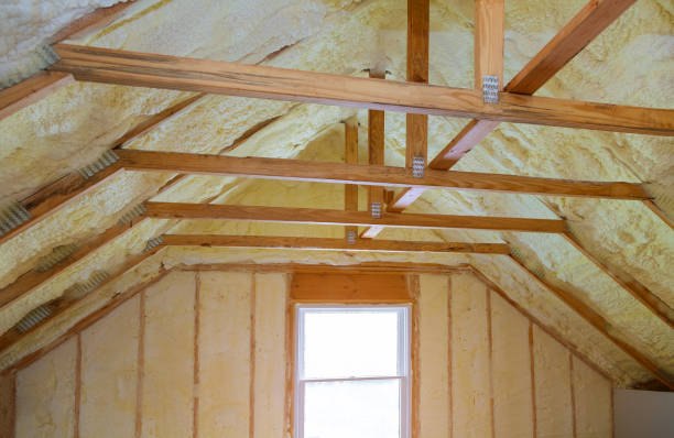 Best Affordable Insulation Services  in St Charles, MO