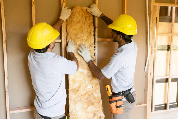 Best Energy-efficient Insulation  in St Charles, MO
