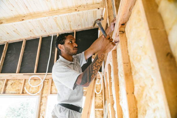Best Garage Insulation Installation  in St Charles, MO