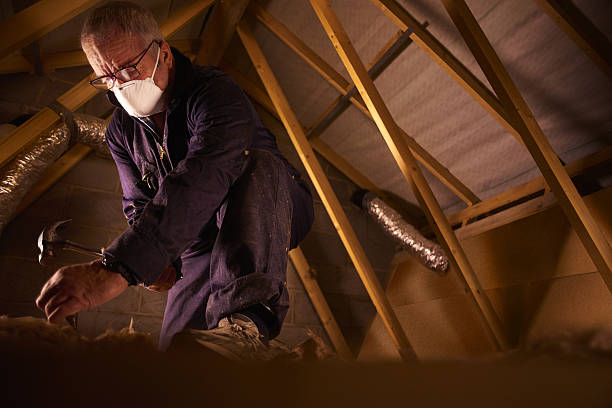 Best Insulation Removal  in St Charles, MO